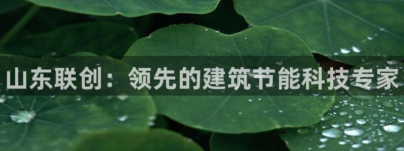 e尊国际平台：山东联创：领先的建筑节能科技专家