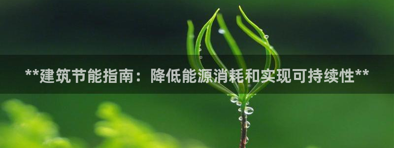 e尊官网：**建筑节能指南：降低能源消耗和实现可持续性**