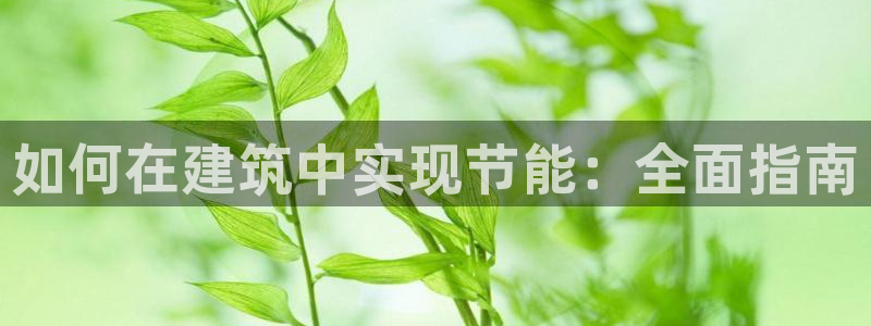 e尊国际平台：如何在建筑中实现节能：全面指南