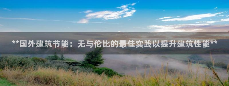 e尊国际7779：**国外建筑节能：无与伦比的最佳实践以提升建筑性能**