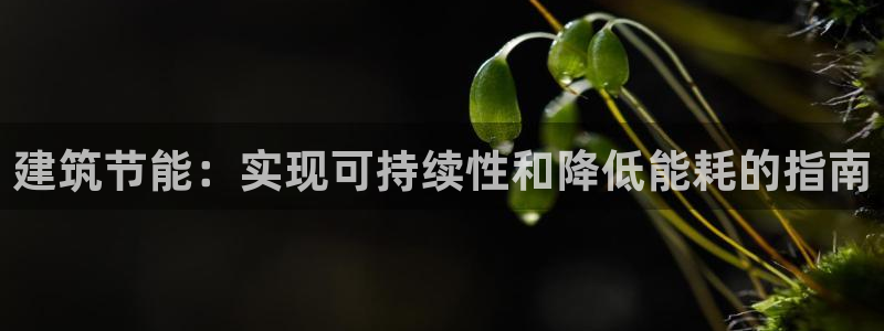 尊亿娱乐国际官网：建筑节能：实现可持续性和降低能耗的指南