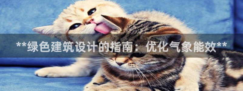 谁知道e尊国际的网址：**绿色建筑设计的指南：优化气象能效**