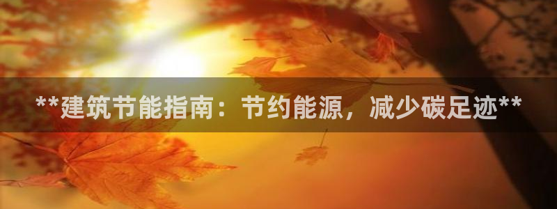 e尊国际app：**建筑节能指南：节约能源，减少碳足迹**