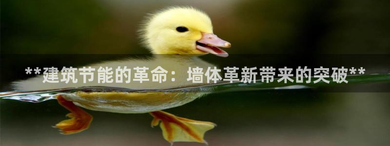 e尊国际-e尊国际官网：**建筑节能的革命：墙体革新带来的突破**
