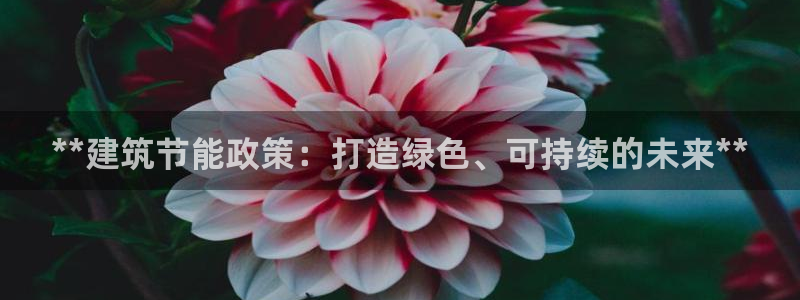 e尊国际官网·网址：**建筑节能政策：打造绿色、可持续的未来**