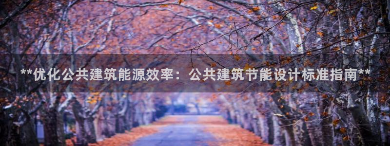 e尊国际官方网站：**优化公共建筑能源效率：公共建筑节能设计标准指南**