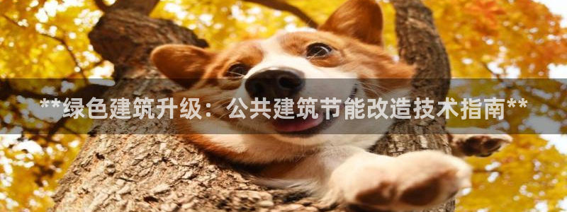 e尊平台：**绿色建筑升级：公共建筑节能改造技术指南**