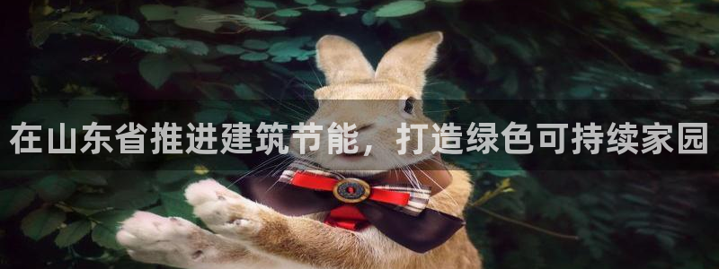 E尊国际网站：在山东省推进建筑节能，打造绿色可持续家园
