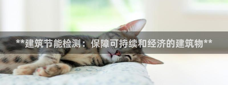 e尊平台：**建筑节能检测：保障可持续和经济的建筑物**