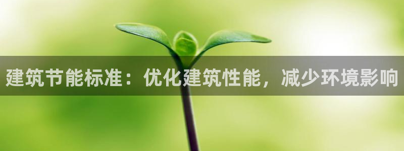 e尊国际7779：建筑节能标准：优化建筑性能，减少环境影响