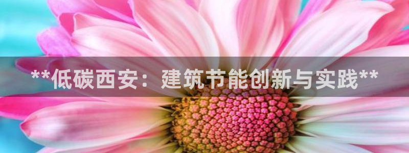 e尊电竞：**低碳西安：建筑节能创新与实践**