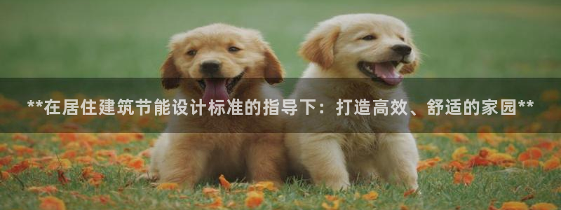 e尊国际-e尊国际官网：**在居住建筑节能设计标准的指导下：打造高效、舒适的家园**