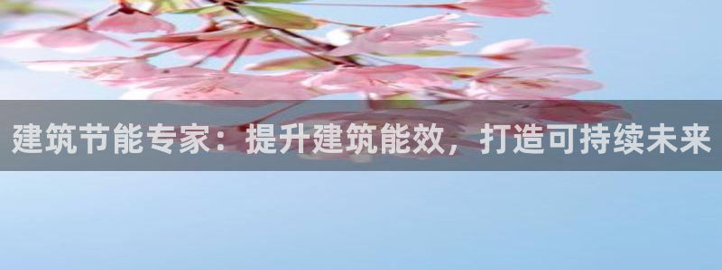 e尊国际的手机登录网站：建筑节能专家：提升建筑能效，打造可持续未来