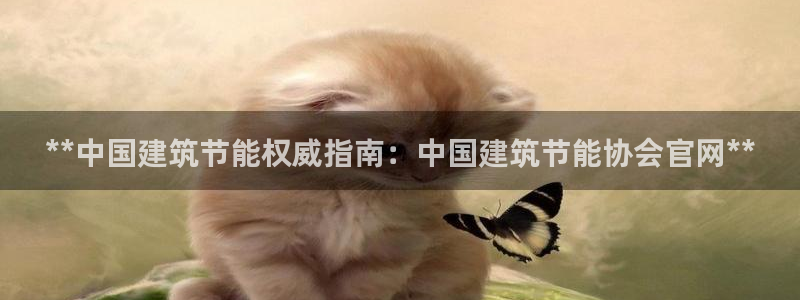 e尊国际娱乐官网下载：**中国建筑节能权威指南：中国建筑节能协会官网**