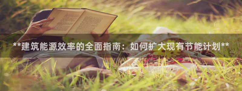尊亿游戏国际官网：**建筑能源效率的全面指南：如何扩大现有节能计划**