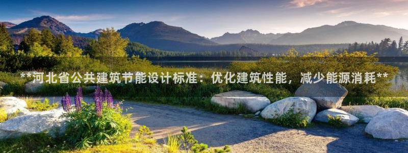 e尊电竞：**河北省公共建筑节能设计标准：优化建筑性能，减少能源消耗**