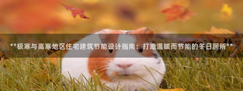 e尊体育：**极寒与高寒地区住宅建筑节能设计指南：打造温暖而节能的冬日居所**