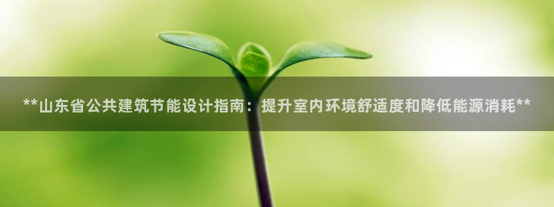 e尊国际网址：**山东省公共建筑节能设计指南：提升室内环境舒适度和降低能源消耗**