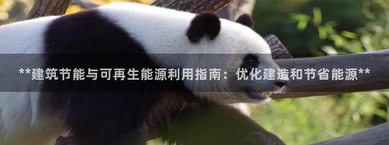 e尊官网：**建筑节能与可再生能源利用指南：优化建造和节省能源**