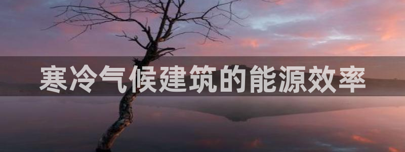 e尊国际的手机登录网站：寒冷气候建筑的能源效率
