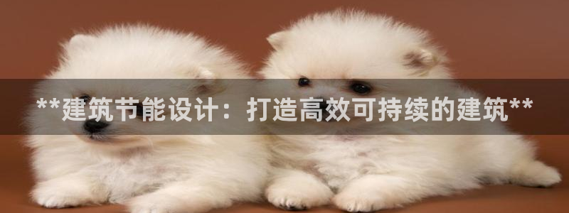 E尊国际网站：**建筑节能设计：打造高效可持续的建筑**