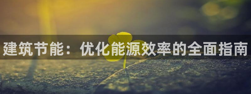 e尊国际可靠吗：建筑节能：优化能源效率的全面指南