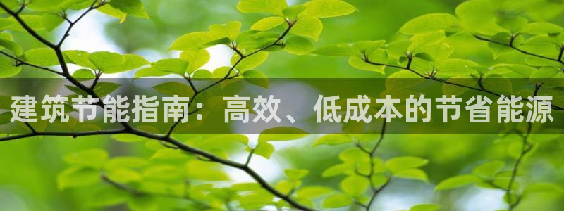 e尊国际平台：建筑节能指南：高效、低成本的节省能源