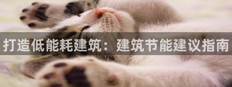 E尊国际网站：打造低能耗建筑：建筑节能建议指南