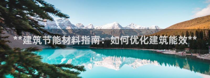 E尊国际：**建筑节能材料指南：如何优化建筑能效**