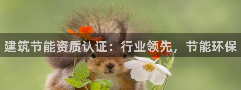 e尊国际的手机登录网站：建筑节能资质认证：行业领先，节能环保