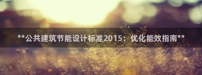 e尊国际娱乐官网地址：**公共建筑节能设计标准2015：优化能效指南**