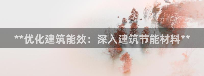 谁知道e尊国际的网址：**优化建筑能效：深入建筑节能材料**