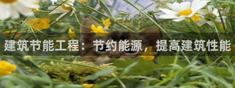 e尊电竞：建筑节能工程：节约能源，提高建筑性能