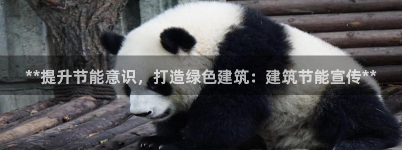 尊亿游戏国际官网：**提升节能意识，打造绿色建筑：建筑节能宣传**