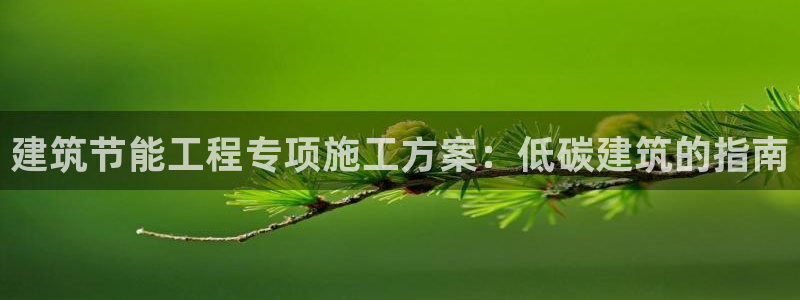 e尊国际app：建筑节能工程专项施工方案：低碳建筑的指南
