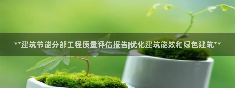 尊亿游戏国际官网：**建筑节能分部工程质量评估报告|优化建筑能效和绿色建筑**