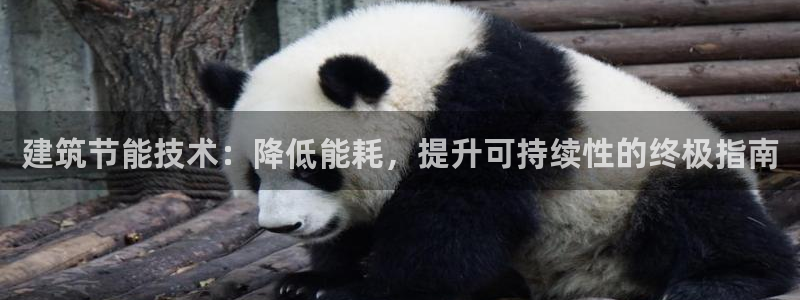e尊国际app：建筑节能技术：降低能耗，提升可持续性的终极指南