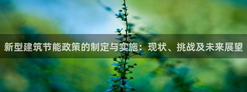 E尊国际：新型建筑节能政策的制定与实施：现状、挑战及未来展望