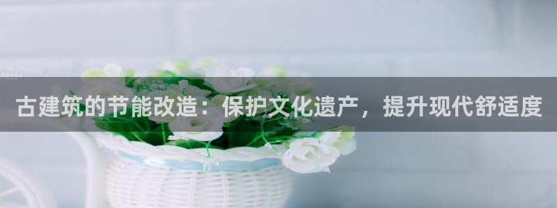 E尊国际网站：古建筑的节能改造：保护文化遗产，提升现代舒适度