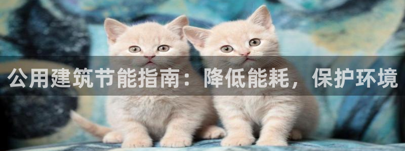 e尊国际客户端下载：公用建筑节能指南：降低能耗，保护环境