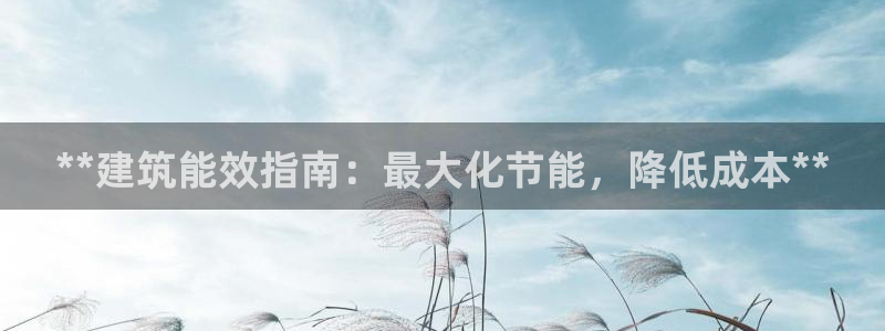 e尊国际官网·网址：**建筑能效指南：最大化节能，降低成本**