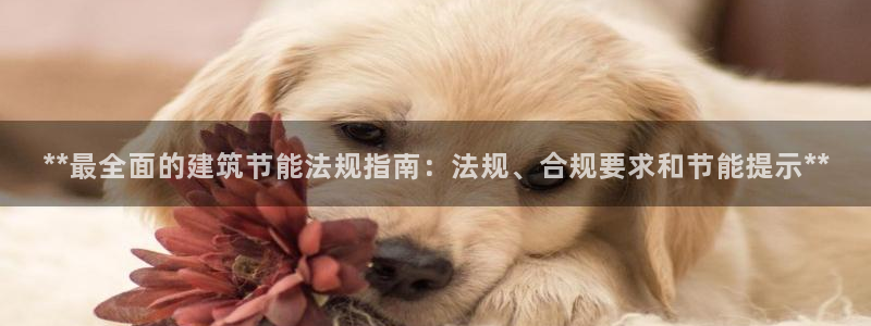 e尊国际地址：**最全面的建筑节能法规指南：法规、合规要求和节能提示**