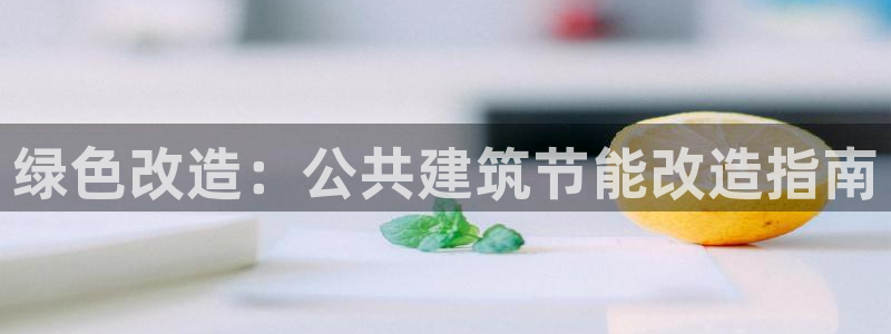 e尊国际可靠吗：绿色改造：公共建筑节能改造指南