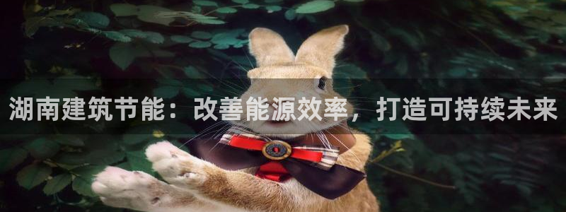 e尊国际官网·网址：湖南建筑节能：改善能源效率，打造可持续未来