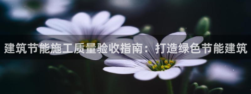 e尊国际app：建筑节能施工质量验收指南：打造绿色节能建筑
