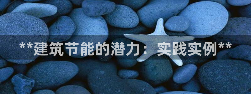 E尊国际网站：**建筑节能的潜力：实践实例**