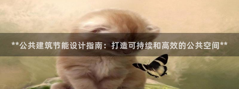e尊国际客户端下载：**公共建筑节能设计指南：打造可持续和高效的公共空间**