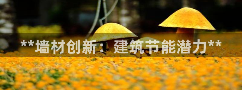 e尊国际的手机登录网站：**墙材创新：建筑节能潜力**