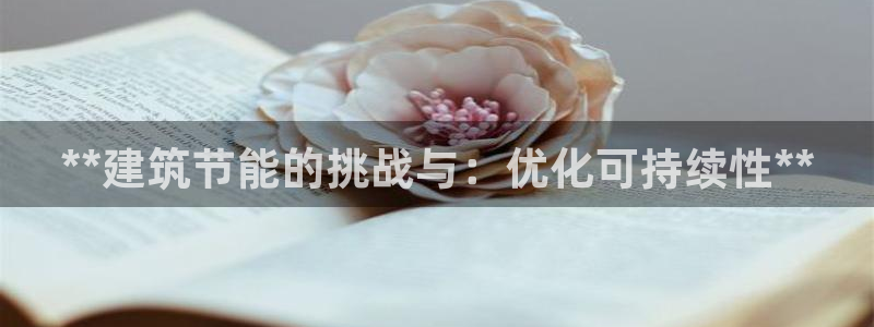 E尊国际：**建筑节能的挑战与：优化可持续性**