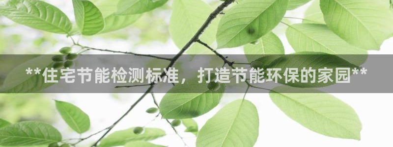 e尊国际app：**住宅节能检测标准，打造节能环保的家园**
